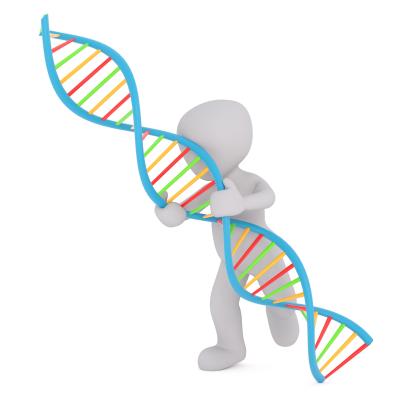 Illustrasjon: en person som holder i et dna. Illustrerer at det kan være arvlige forhold med i bildet