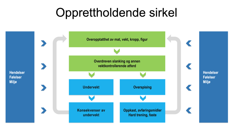 Illustrasjon: Modell som illustrerer en opprettholdende sirkel- hvordan å spise for lite eller overspise forterker symptomer som igjen forsøkes å løse med handlinger som igjen forsterker overdrevent fokus på kropp og vekt og som fører til ny runde med å spise for lite.