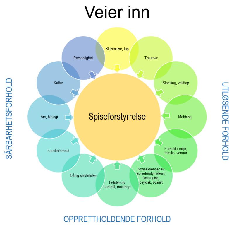 Illustrasjon: En modell som illustrerer at det er mange forhold som kan virke disponerende, utløsende og opprettholdende